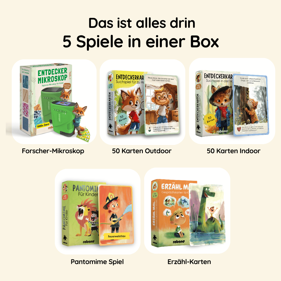 Beschäftigungs Box - Angebot