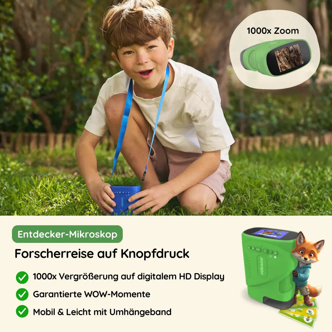 Ferien-Box - Angebot