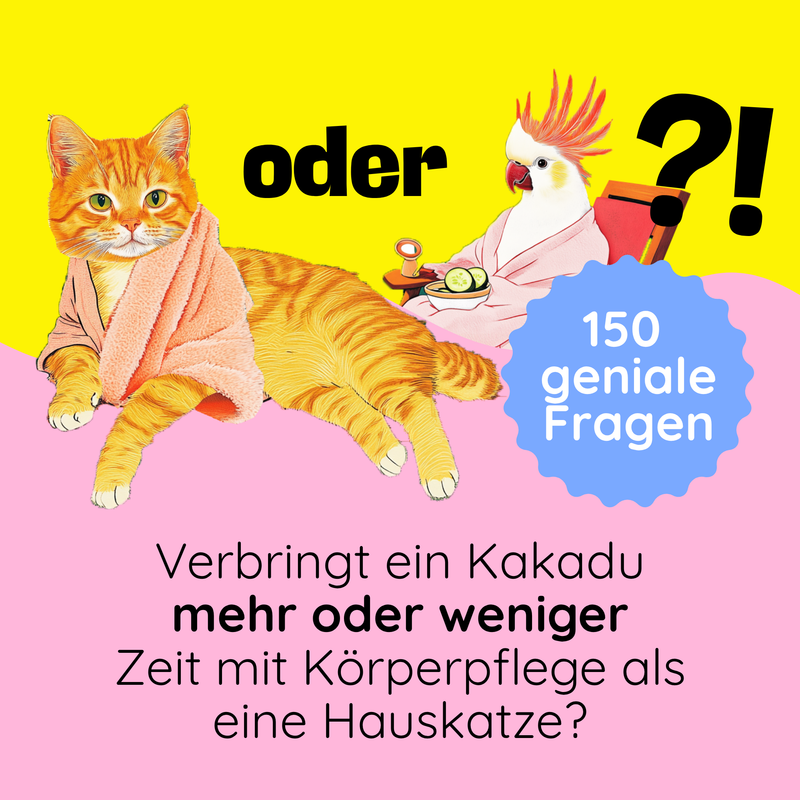 Mehr oder Weniger? - Das Schätzspiel