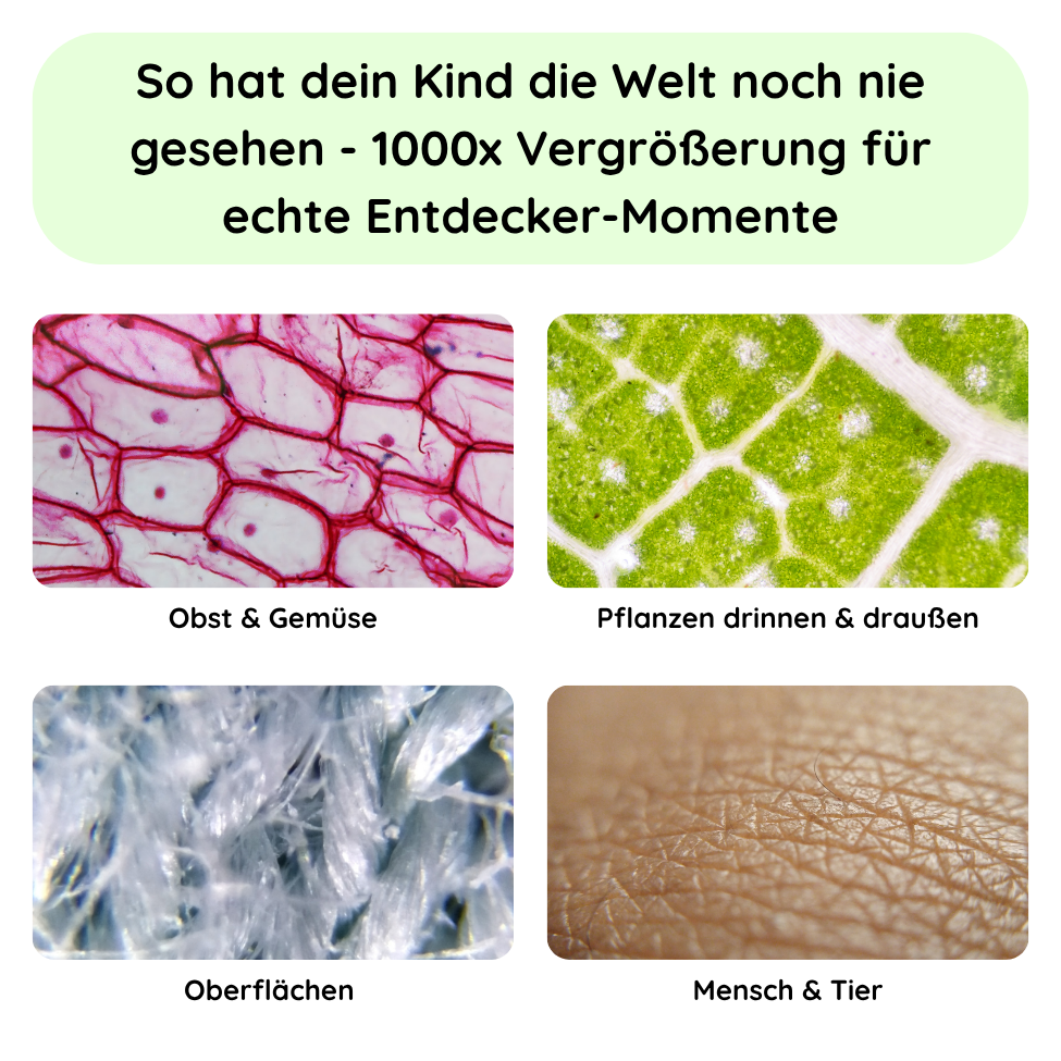 Entdecker Mikroskop für Kinder + Gratis Kartenspiel