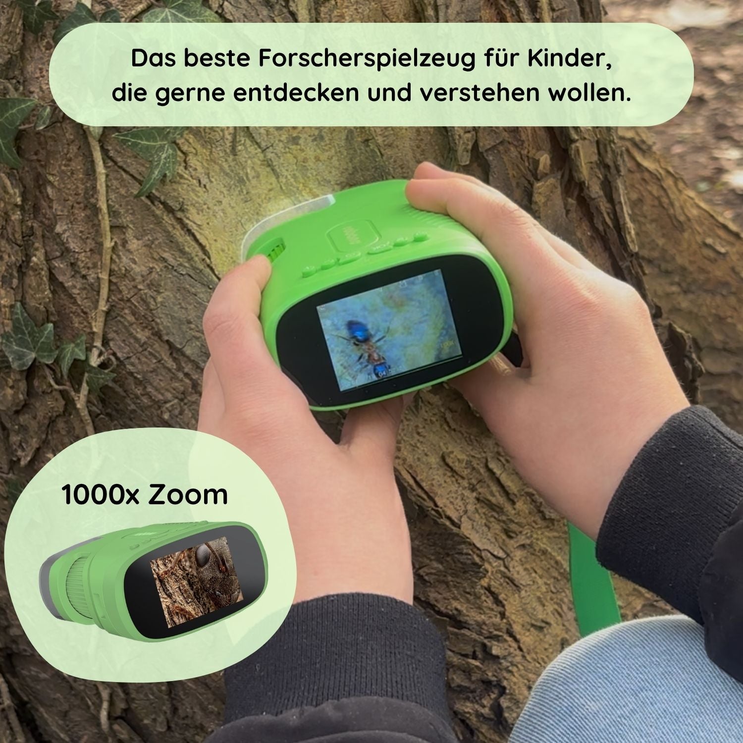 Ferien-Box